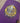 LSU Tigers Coin Slim Can Cooler